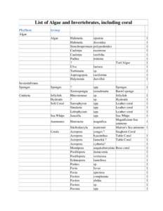 List of Algae and Invertebrates, including coral Phyllum Algae Group Algae