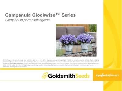 Campanula Clockwise™ Series Campanula portenschlagiana ©2014 Syngenta. Important: Always read and follow label instructions before buying or using Syngenta products. The label contains important conditions of sale, in