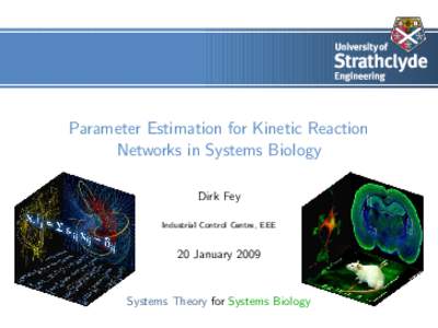Parameter Estimation for Kinetic Reaction Networks in Systems Biology