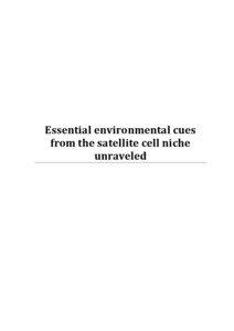 Essential environmental cues from the satellite cell niche unraveled