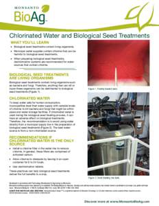 Chlorinated Water and Biological Seed Treatments WHAT YOU’LL LEARN  Biological seed treatments contain living organisms.  Municipal water supplies contain chlorine that can be harmful to biological seed tre