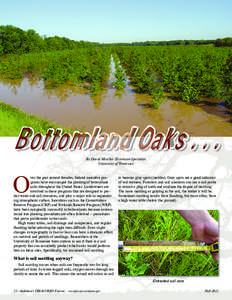 Bottomland Oaks[removed]By David Mercker, Extension Specialist University of Tennessee O