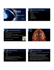 Microsoft PowerPoint - Flea BCPCA Feb2011.ppt [Compatibility Mode]