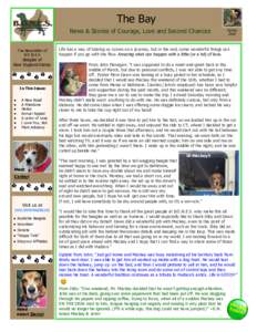 The Bay News & Stories of Courage, Love and Second Chances The Newsletter of B.O.N.E.S  Beagles of
