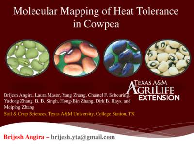 Molecular Mapping of Heat Tolerance in Cowpea
