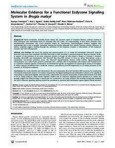 Molecular Evidence for a Functional Ecdysone Signaling System in Brugia malayi George Tzertzinis1*, Ana L. Egan˜a1, Subba Reddy Palli2, Marc Robinson-Rechavi3, Chris R.