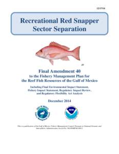 Recreational Red Snapper Sector Separation  Final Amendment 40