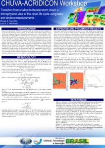CHUVA-ACRIDICON Workshop Transition from shallow to thunderstorm cloud: a microphysical view of the cloud life cycle using radar and airplane measurements Micael A. Cecchini Luiz A. T. Machado