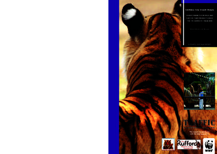TAMING THE TIGER TRADE CHINA’S MARKETS FOR WILD AND CAPTIVE TIGER PRODUCTS SINCE THE 1993 DOMESTIC TRADE BAN  KRISTIN NOWELL AND XU LING