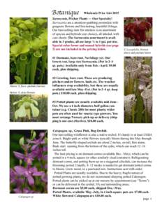 Botanique  Wholesale Price List 2015 Sarracenia, Pitcher Plants — Our Specialty! Sarracenia are a attention-grabbing perennials with