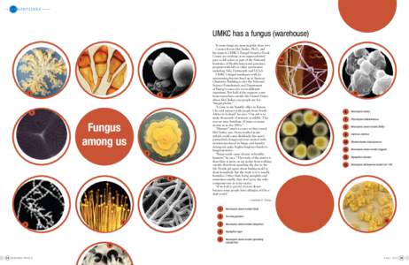 UMKC has a fungus (warehouse