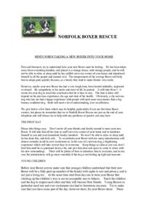 NORFOLK BOXER RESCUE  HINTS WHEN TAKING A NEW BOXER INTO YOUR HOME First and foremost, try to understand how your new Boxer must be feeling. He has been taken away from everything familiar, and placed is a strange house,
