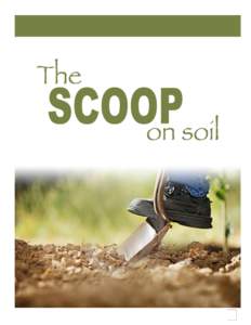 Soil / Regolith / Sustainable agriculture / Land management / Agronomy / Topsoil / Humus / Crop rotation / Plant nutrition / Surface runoff / Agricultural soil science / Index of soil-related articles