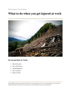 Reforestation: Tree Planting  What to do when you get injured at work So you got hurt at workReport the injury