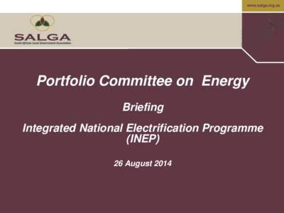 www.salga.org.za  Portfolio Committee on Energy Briefing Integrated National Electrification Programme (INEP)