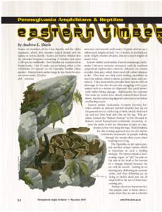 Pennsylvania Amphibians & Reptiles  Eastern Timber by Andrew L. Shiels  illustration-Tom Duran Jr.
