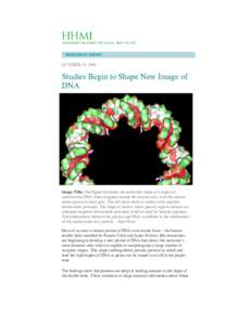 OCTOBER 29, 2009  Studies Begin to Shape New Image of DNA  Image Title: The figure illustrates the molecular shape of a region of