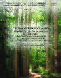Héritage du Réseau de gestion durable des forêts en matière de recherche : résultats de la collaboration entre J.D. Irving Ltd., l’Université du Nouveau-Brunswick et l’Université de Moncton