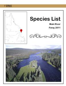 Species List Main River Foray 2011 Species List, Main River, 2011 Amanita ﬂavoconia