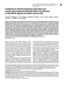 Cancer research / Apoptosis / Programmed cell death / Protein kinases / Cell lines / Sorafenib / C-Raf / PC3 / Bcl-2 family / Biology / Medicine / Cell biology