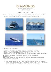 SEA EXCURSION The Catamaran Spirit of Regis is a splendid boat that we can use for fishing, snorkeling, dolphin cruise and whale watching *. The excursion includes: -