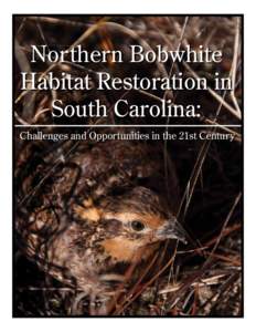 Northern Bobwhite Habitat Restoration in South Carolina: Challenges and Opportunities in the 21st Century  Acknowledgements