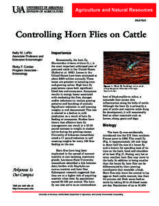 Controlling Horn Flies on Cattle - FSA7031