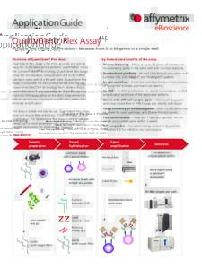QG DNA and DNA Plex_ how it works