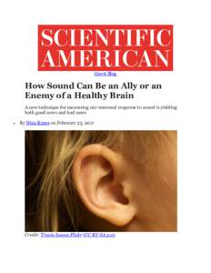 Guest Blog  How Sound Can Be an Ally or an Enemy of a Healthy Brain A new technique for measuring our neuronal response to sound is yielding both good news and bad news
