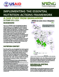 Implementing the Essential Nutrition Actions Framework: A Case Study from Bangladesh