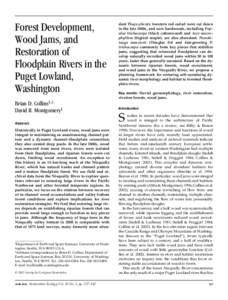 Forest Development, Wood Jams, and Restoration of Floodplain Rivers in the Puget Lowland, Washington