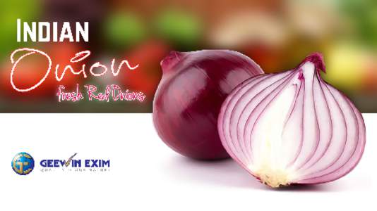 We, Geewin Exim are one of the major exporter and trader in RED ONION. It is most widely used in Indian dishes. onion is the major ingredient for our dishes it is very healthy and tasty also it is rich in nutritious it 