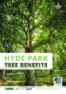 HY D E PARK T R E E B EN EF I TS An integrated assessment of tree benefits in Hyde Park using i-Tree Eco and Capital Asset Valuation for Amenity Trees
