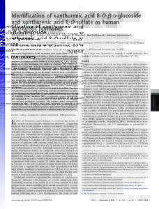 Identification of xanthurenic acid 8-O-␤-D-glucoside and xanthurenic acid 8-O-sulfate as human natriuretic hormones Christopher D. Cain*†, Frank C. Schroeder‡§, Stewart W. Shankel*, Mark Mitchnick*, Michael Schmer