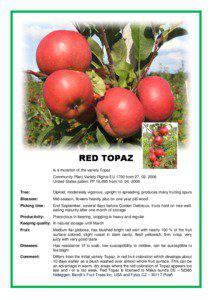 RED TOPAZ is a mutation of the variety Topaz Community Plant Variety Rights EU 1700 from[removed]
