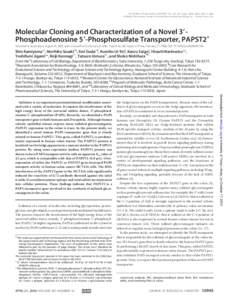 THE JOURNAL OF BIOLOGICAL CHEMISTRY VOL. 281, NO. 16, pp–10953, April 21, 2006 © 2006 by The American Society for Biochemistry and Molecular Biology, Inc. Printed in the U.S.A. Molecular Cloning and Characteriz