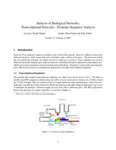 Analysis of Biological Networks: Transcriptional Networks - Promoter Sequence Analysis Lecturer: Roded Sharan