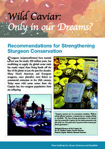 Wild Caviar: Only in our Dreams? Recommendations for Strengthening Sturgeon Conservation  S