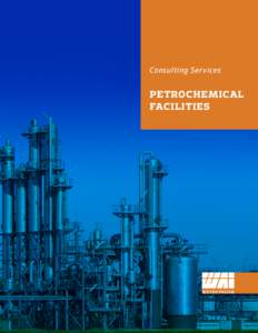 Consulting Services  PETROCHEMICAL FACILITIES  CONSULTING ENGINEERING SERVICES
