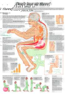 Dance science / Human body / Irregular bones / Skeletal system / Vertebrate anatomy / Human back / Horse anatomy / Lordosis / Sit-up / Vertebral column / Vertebra / Back