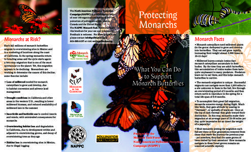 The North American Pollinator Protection Campaign (NAPPC) is a collaborative body of over 140 organizations that work for the protection of pollinators across Mexico, Canada and the United States. The NAPPC Monarch Task 