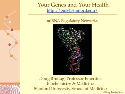 Your Genes and Your Health http://bio84.stanford.edu/ miRNA Regulatory Networks Doug Brutlag, Professor Emeritus Biochemistry & Medicine