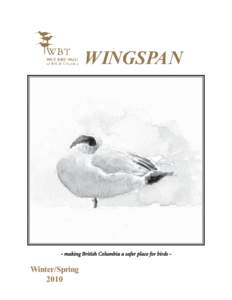 WINGSPAN  - makingg British Columbiia a safer place for birds - Winter/Spring 2010