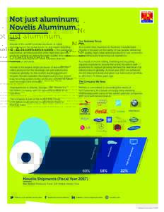 Not just aluminum, Novelis Aluminum. TM  About Us