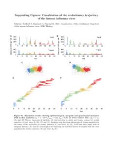 Supporting Figures: Canalization of the evolutionary trajectory of the human influenza virus Citation: Bedford T, Rambaut A, Pascual MCanalization of the evolutionary trajectory of the human influenza virus. BMC 
