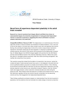 CECAD Excellence Cluster, University of Cologne Press Release Novel form of experience-dependent plasticity in the adult brain revealed Research by a team of scientists from Cologne, Munich and Mainz have shown an