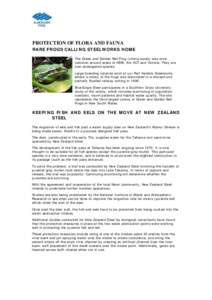 PROTECTION OF FLORA AND FAUNA RARE FROGS CALLING STEELWORKS HOME The Green and Golden Bell Frog (Litoria aurea) was once common around areas of NSW, the ACT and Victoria. They are now endangered species. Large breeding c