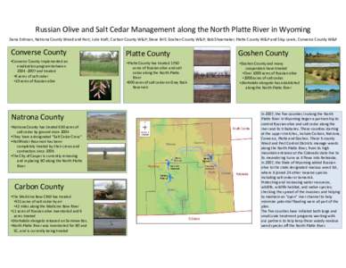 Russian Olive and Salt Cedar Management along the North Platte River in Wyoming  Dana Erdman, Natrona County Weed and Pest; Julie Kraft, Carbon County W&P; Steve Brill, Goshen County W&P; Bo