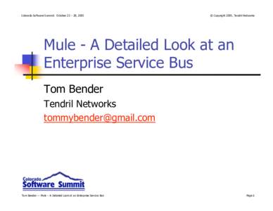 Colorado Software Summit: October 23 – 28, 2005  © Copyright 2005, Tendril Networks Mule - A Detailed Look at an Enterprise Service Bus