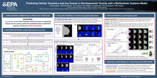 abstract #128  Predicting Cellular Dynamics and Key Events in Developmental Toxicity with a Multicellular Systems Model TB Knudsen1, MR Rountree1, ES Hunter2, NC Baker3, R Spencer3, RS Dewoskin4, RW Setzer1 U.S. Environm